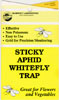 Sticky Yellow Traps Catch Flying Fungus Gnats