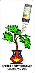 Sprinkle Contents Over Leaves and Soil