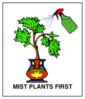 Mist Plants First