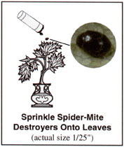 Sprinkle Spidermite Destroyers Onto Leaves