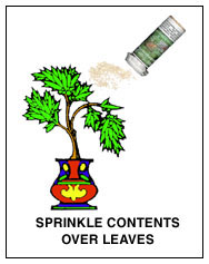 Sprinkle Contents Over Leaves
